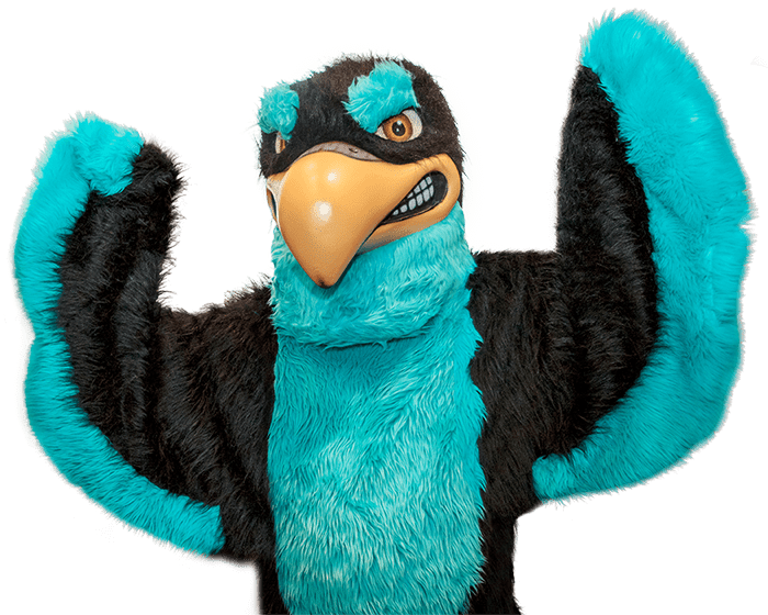 FLC About Us - Falco, our mascot