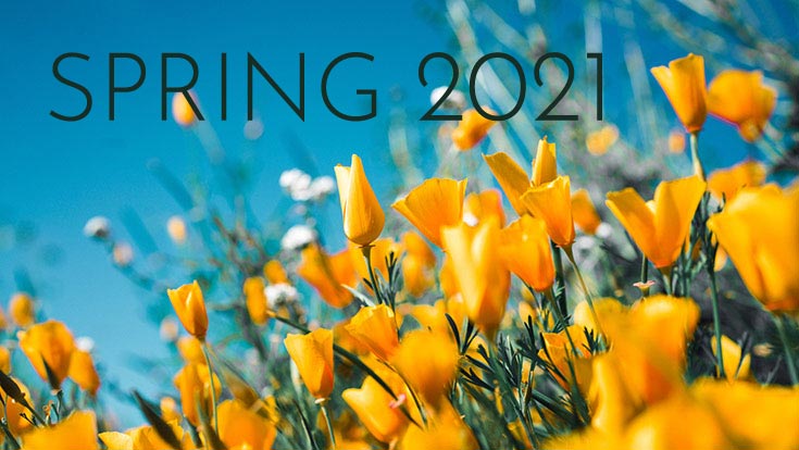 Spring 2021 Calendar Academic Calendar and Deadlines | Folsom Lake College